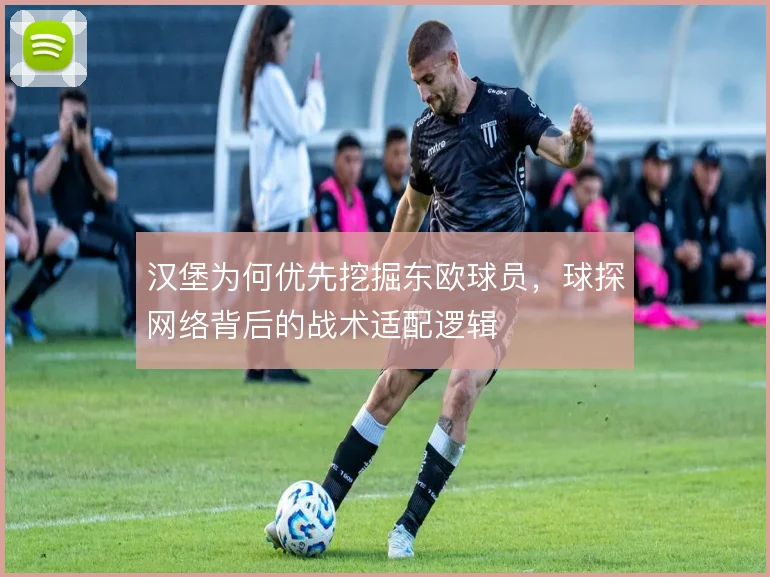 汉堡为何优先挖掘东欧球员，球探网络背后的战术适配逻辑