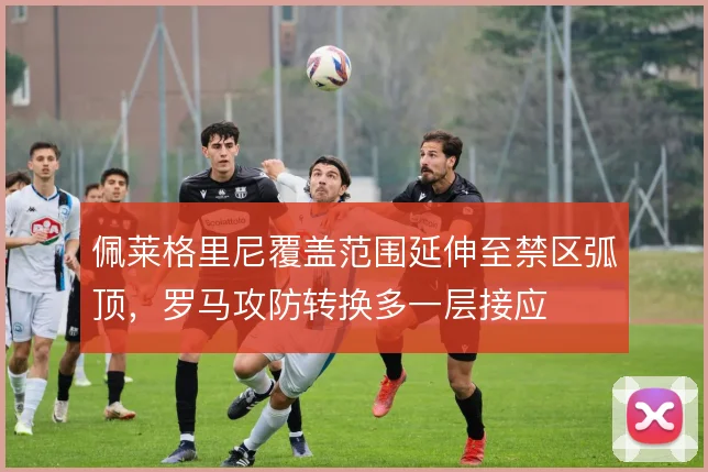 佩莱格里尼覆盖范围延伸至禁区弧顶，罗马攻防转换多一层接应