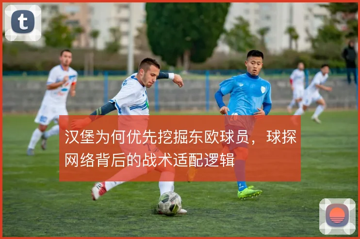 汉堡为何优先挖掘东欧球员，球探网络背后的战术适配逻辑